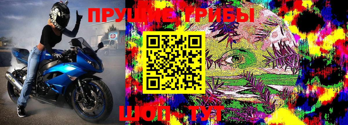 Гай  купить   Вход с VPN  Псилоцибиновые грибы Cubensis  Галлюциногенные грибы Magic Shrooms 