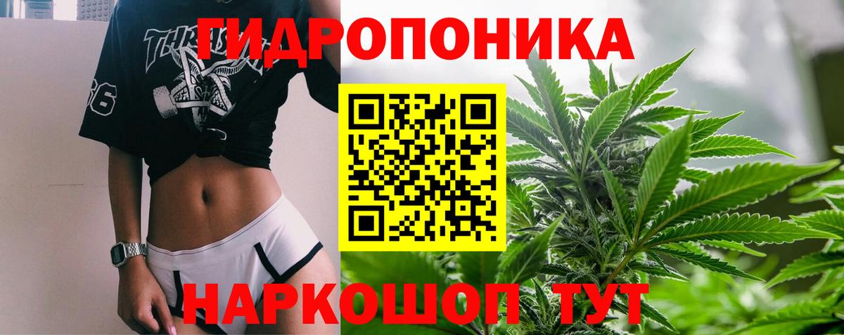 Канабис марихуана Гай